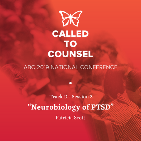 2019 National Conference MP3: Post Traumatic Stress Disorder Session 3