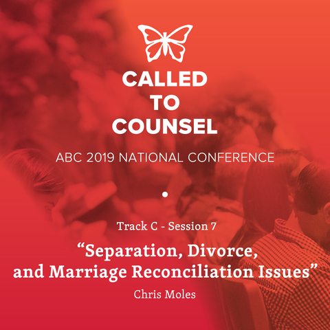 2019 ABC National Conference MP3: Domestic Abuse Session 7